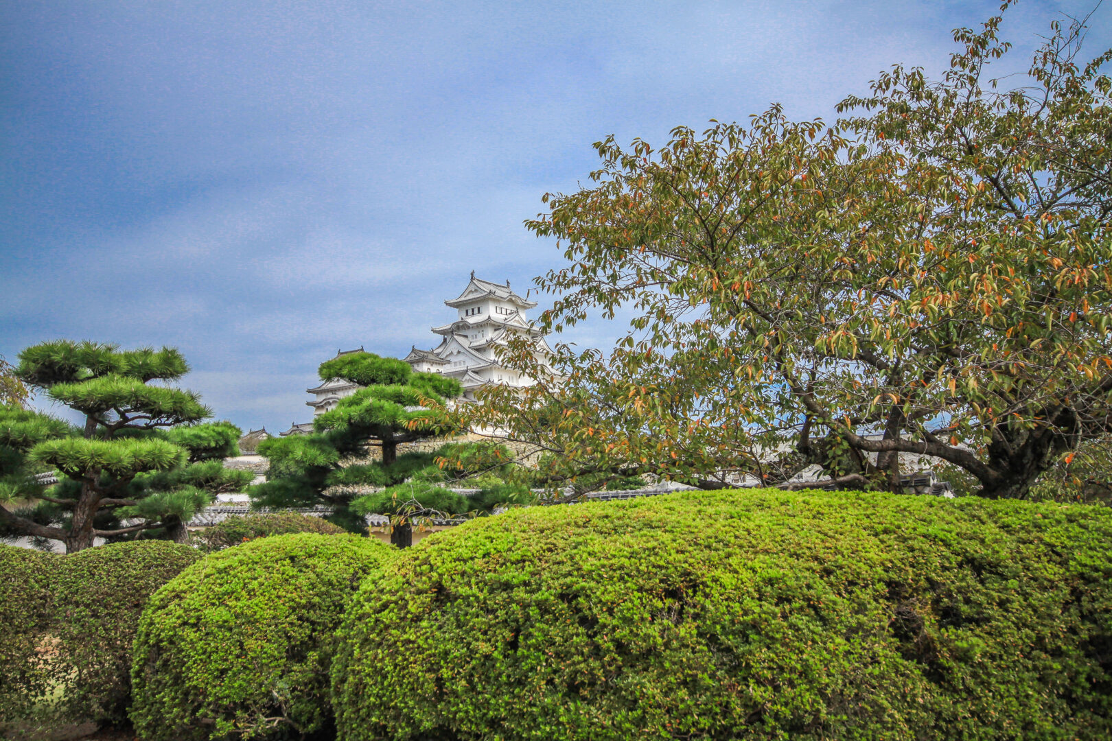 Japonia zamek w Himeji